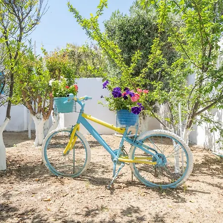 Perivoli 3-chora * Agkidia