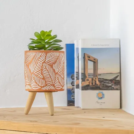 Apartament Perivoli 3-chora Agkidia