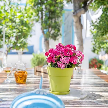 Perivoli 3-chora Apartament *